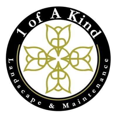 1 of A Kind Landscape